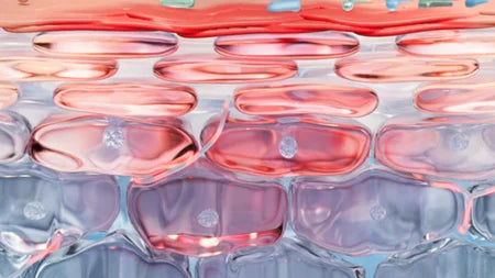 Sensibio Redness & signs of aging routine